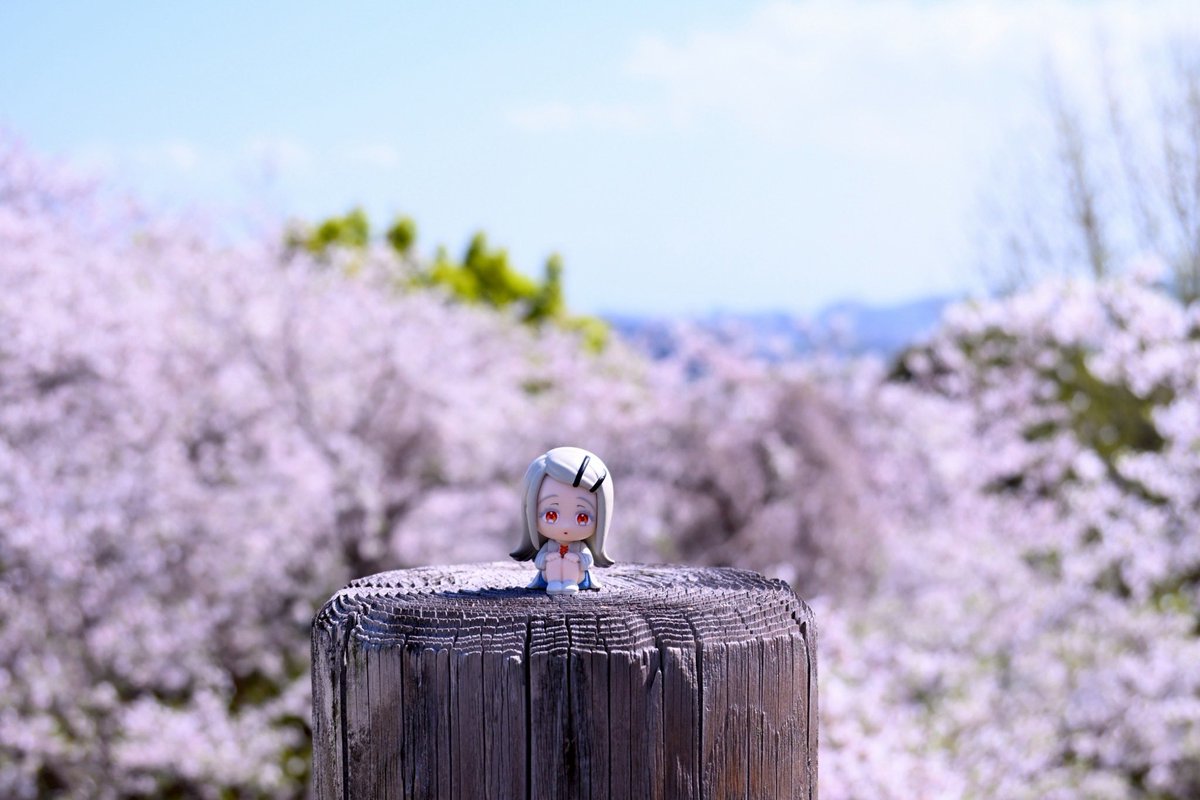 ユウキノ tweet media