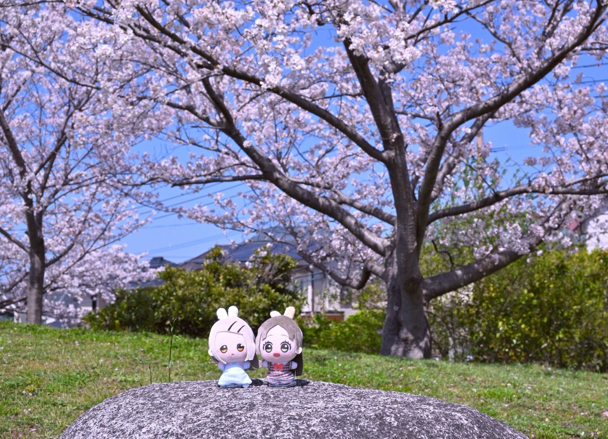 ユウキノ tweet media