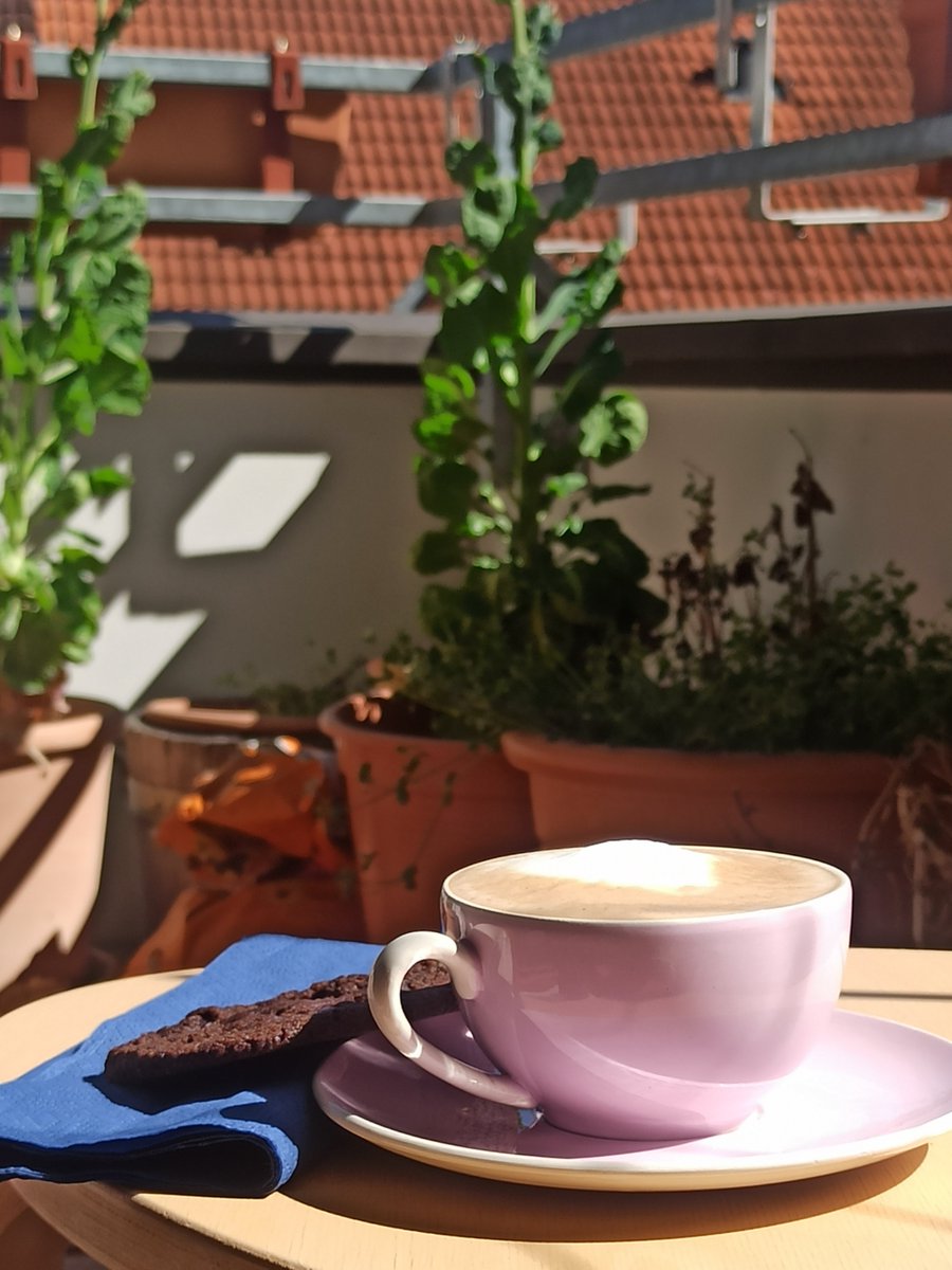 ander the table tweet media