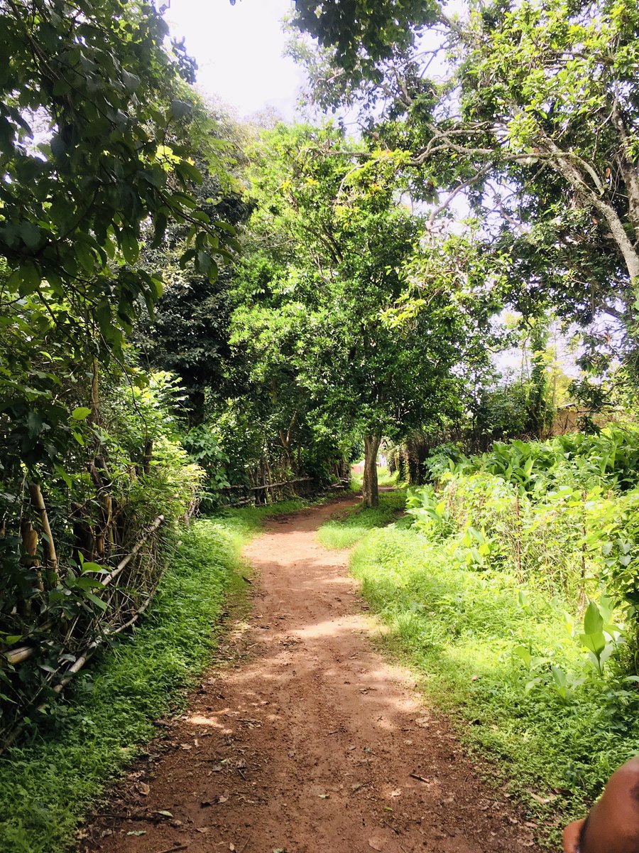 Guinea Culture&Tourism🇬🇳 tweet media