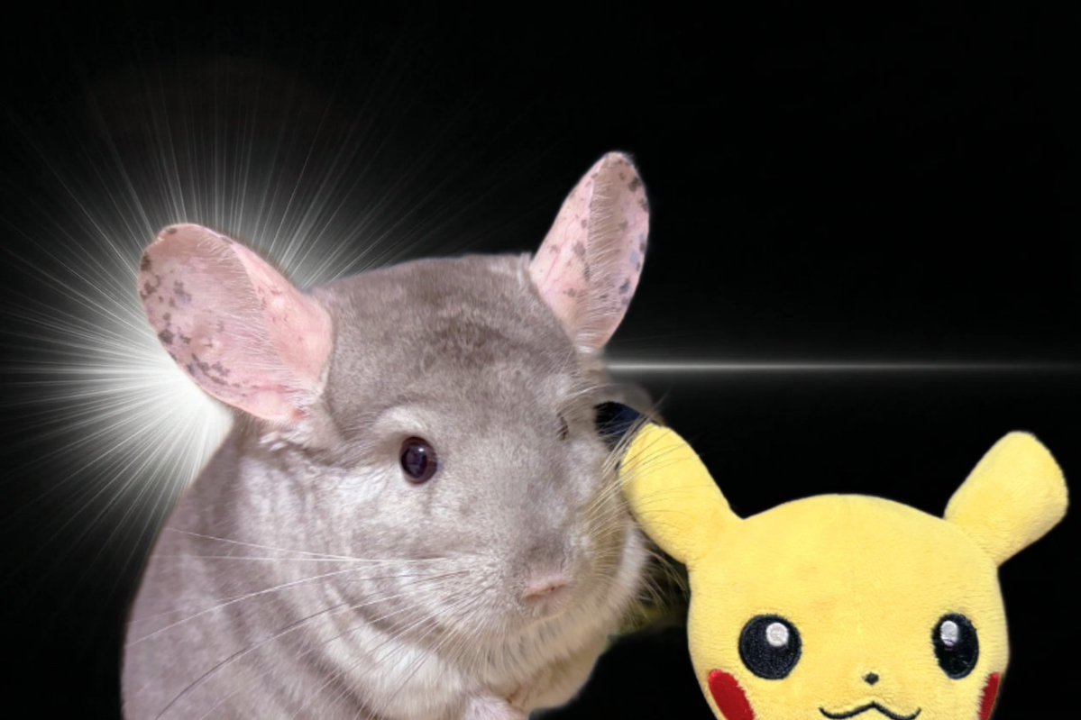 🆕໒꒱ tweet media