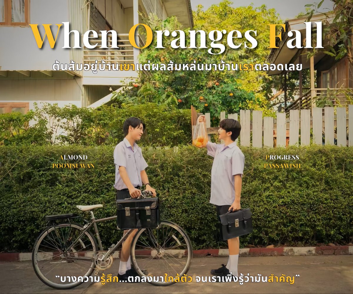 •ω•bambam🥦🍊 tweet media