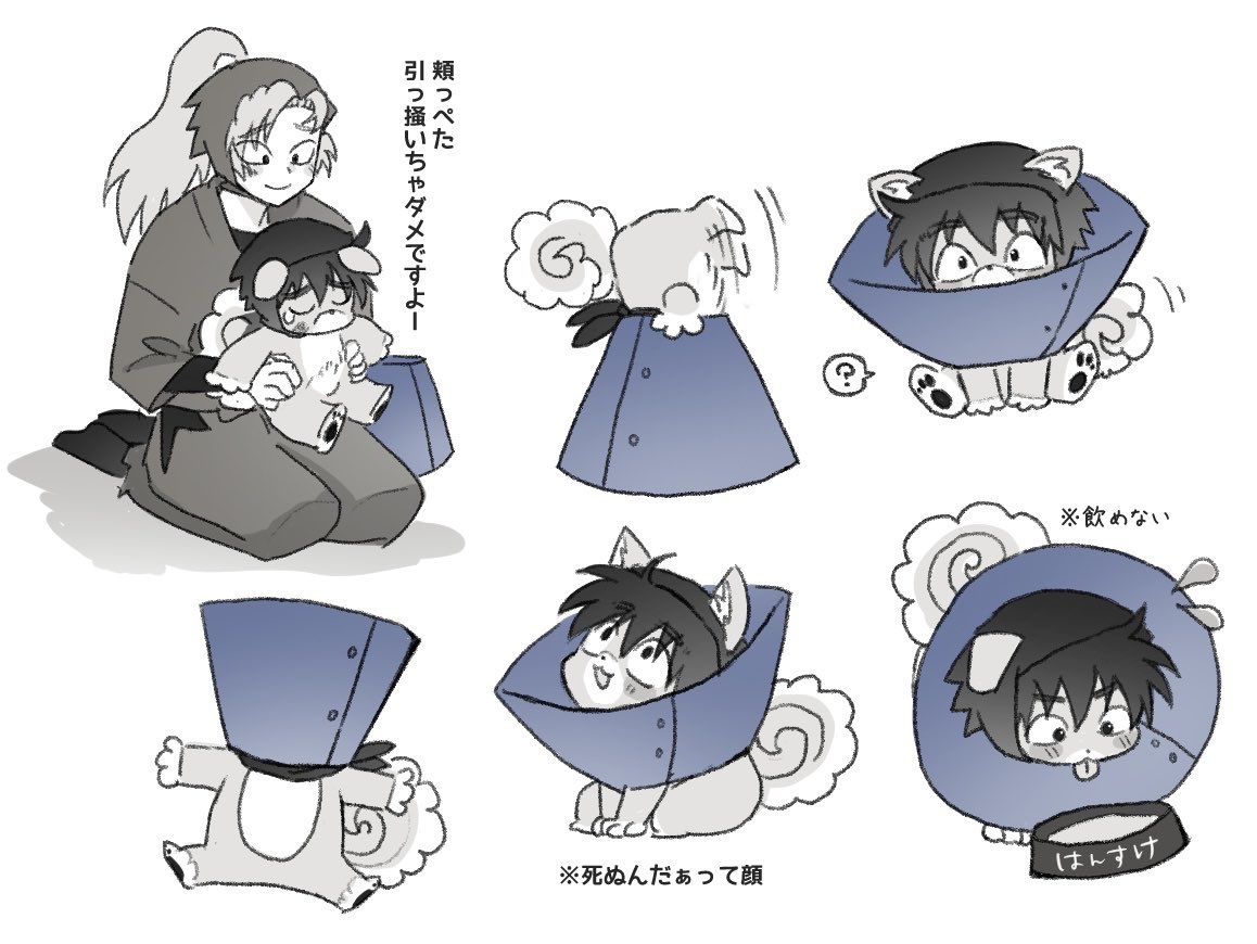 🐟さば tweet media