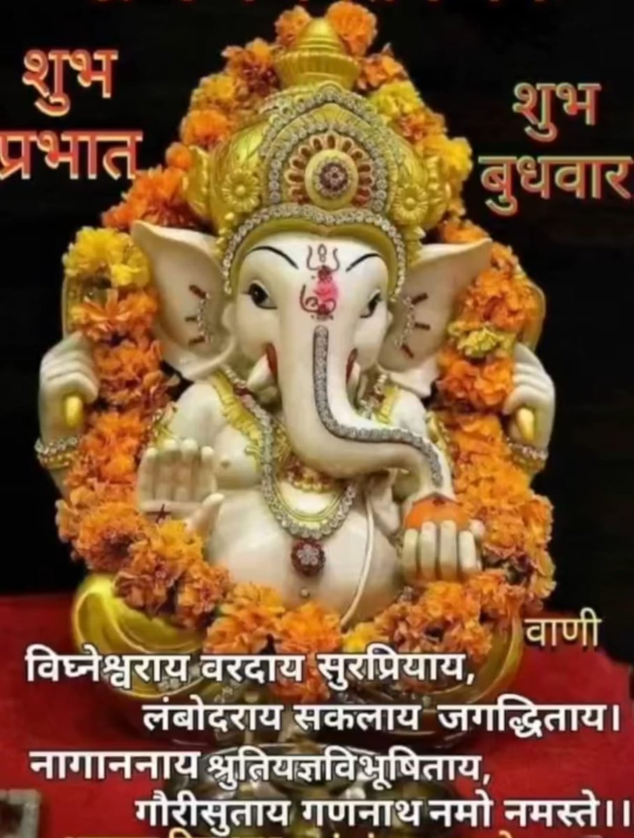 नान्हो प्रसाद बाँकुरे tweet media