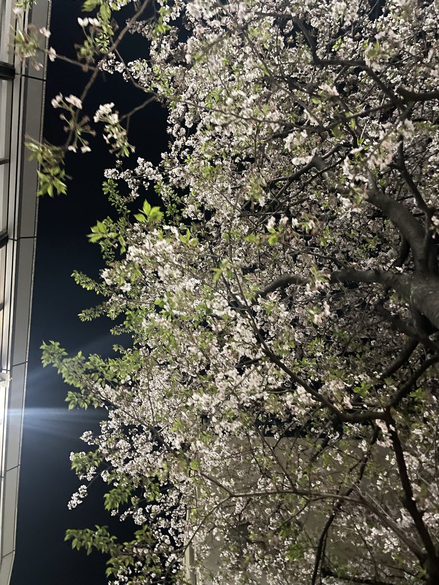 jin_fv_gt's tweet photo. 春希さんから
新曲の2曲目が送られてきた。
ピアノだけのデモと歌詞。
この人とやっててよかった!
間違ってなかった!と思えた。
#Speechbook https://t.co/ypC5FZuRYH