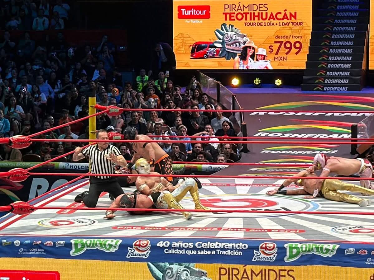 LaTijeraLucha's tweet photo. Impresionante la lucha estelar entre #Místico, #MáscaraDorada y Neón en contra de #VoladorJr, #SoberanoJr y Hechicero,donde con espectaculares lances, castigos y hasta despojos de máscara,pero el SkyTeam impuso sus condiciones para salir con la mano en alto🔥
#latijeraluchalibre https://t.co/tF3ZYyOgIH
