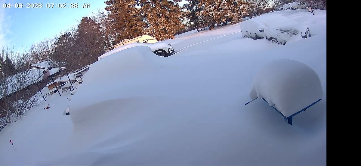 WowTheShitIveSeen tweet media