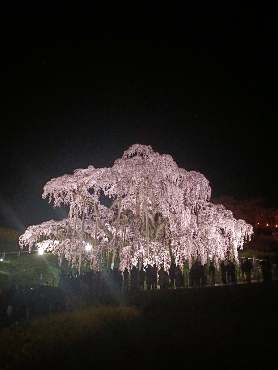 アライカオル tweet media