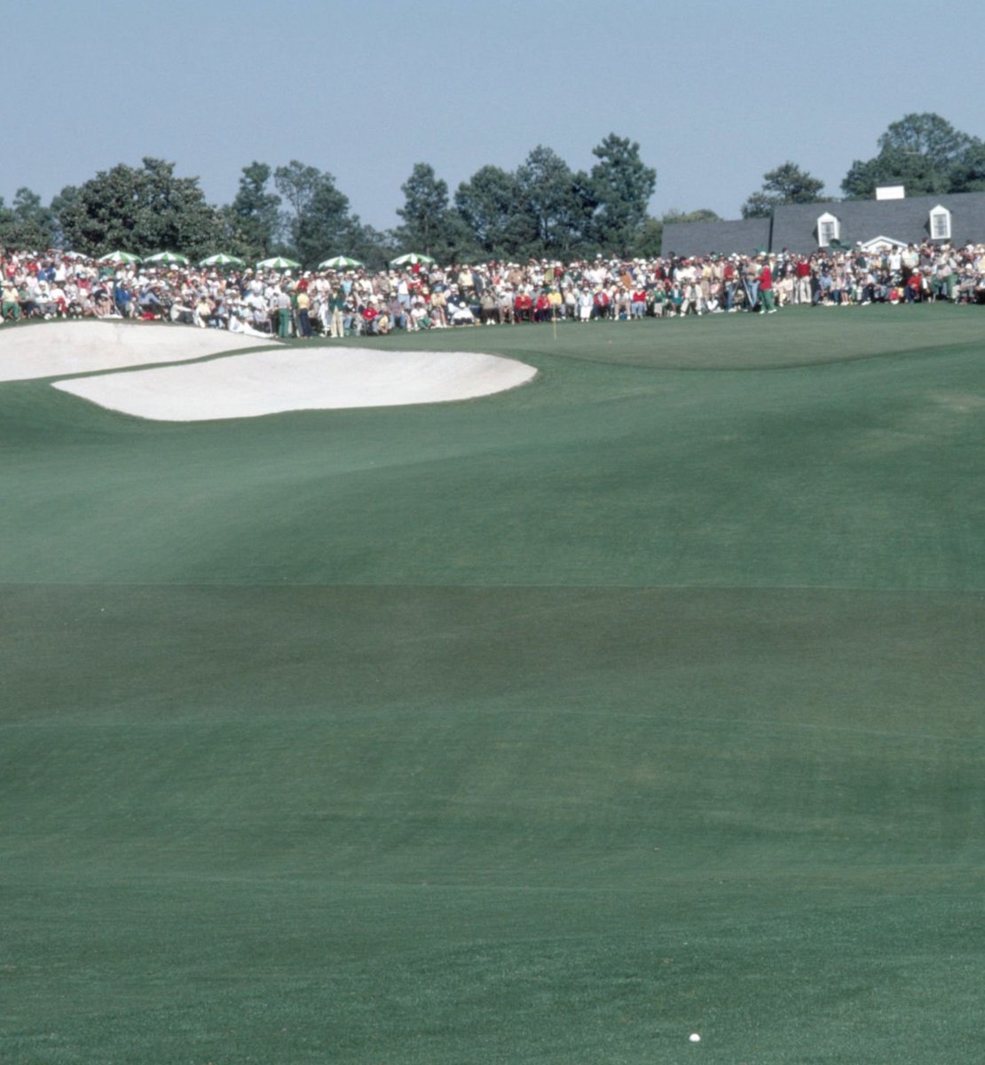 aa██████ tweet media