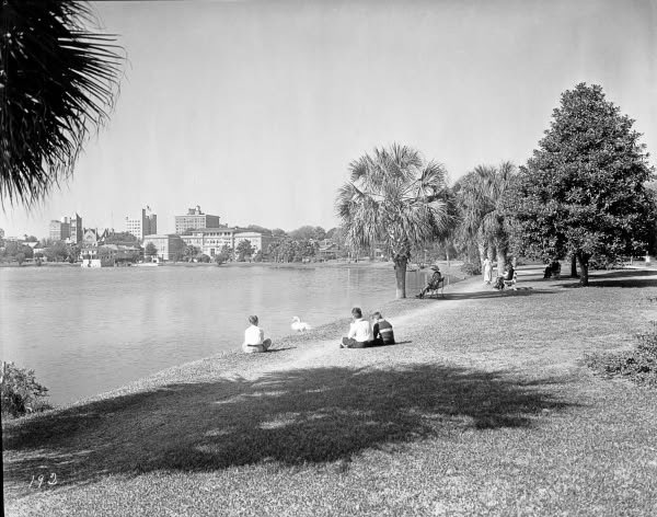 Lake Eola tweet media