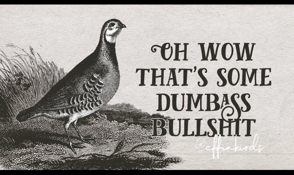 ✍🏻This is no dream! This is really happening! tweet media
