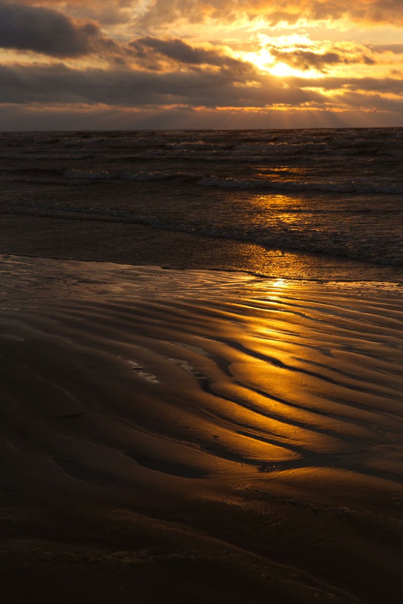 Jacques-Yves Cousteau tweet media