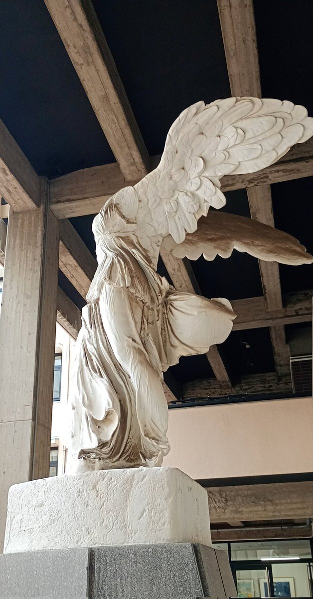 ちくわ　Chikuwa tweet media