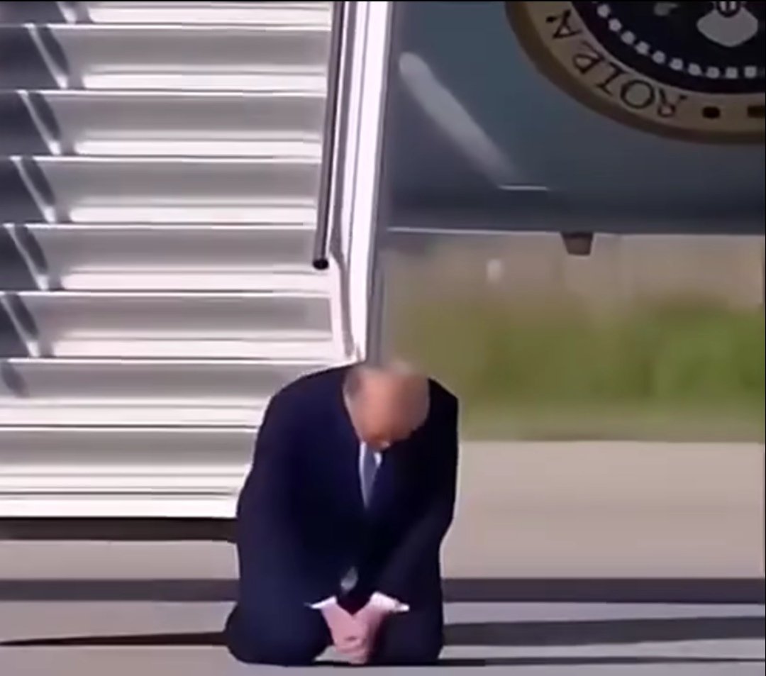 SyedaSherazi tweet media