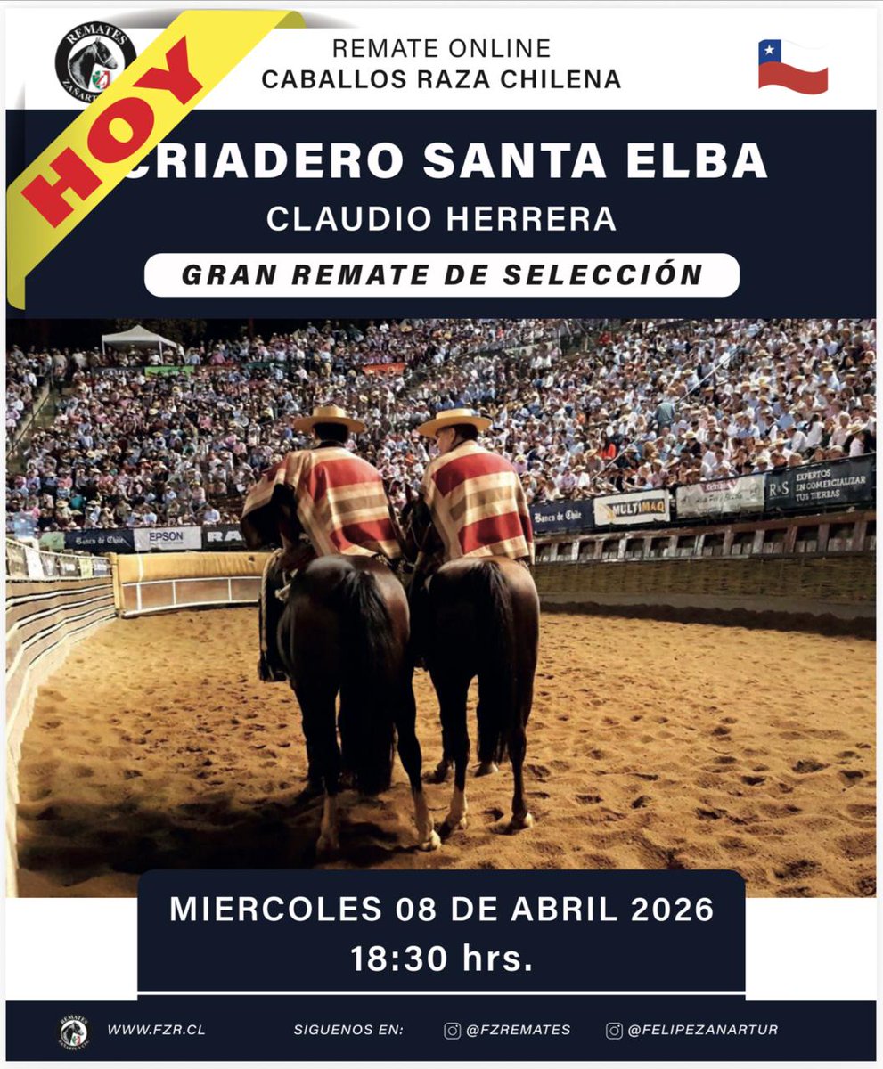 Remates Fernando Zañartu Rozas y Cía. Ltda - CHILE tweet media