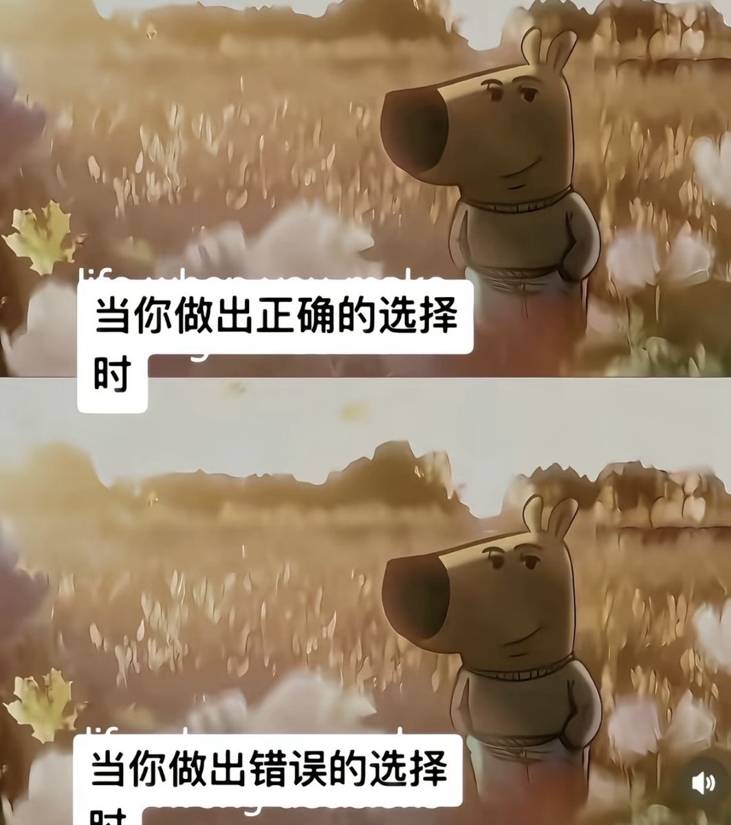 ♡小c. (•̀ᴗ•́)و ̑̑ 见贤思齐 tweet media