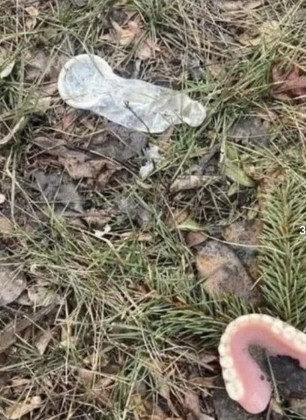 EYVAH EYLÜL tweet media