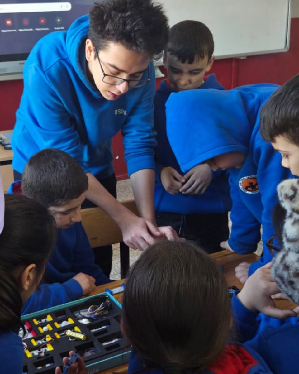 Twin Bilim tweet media