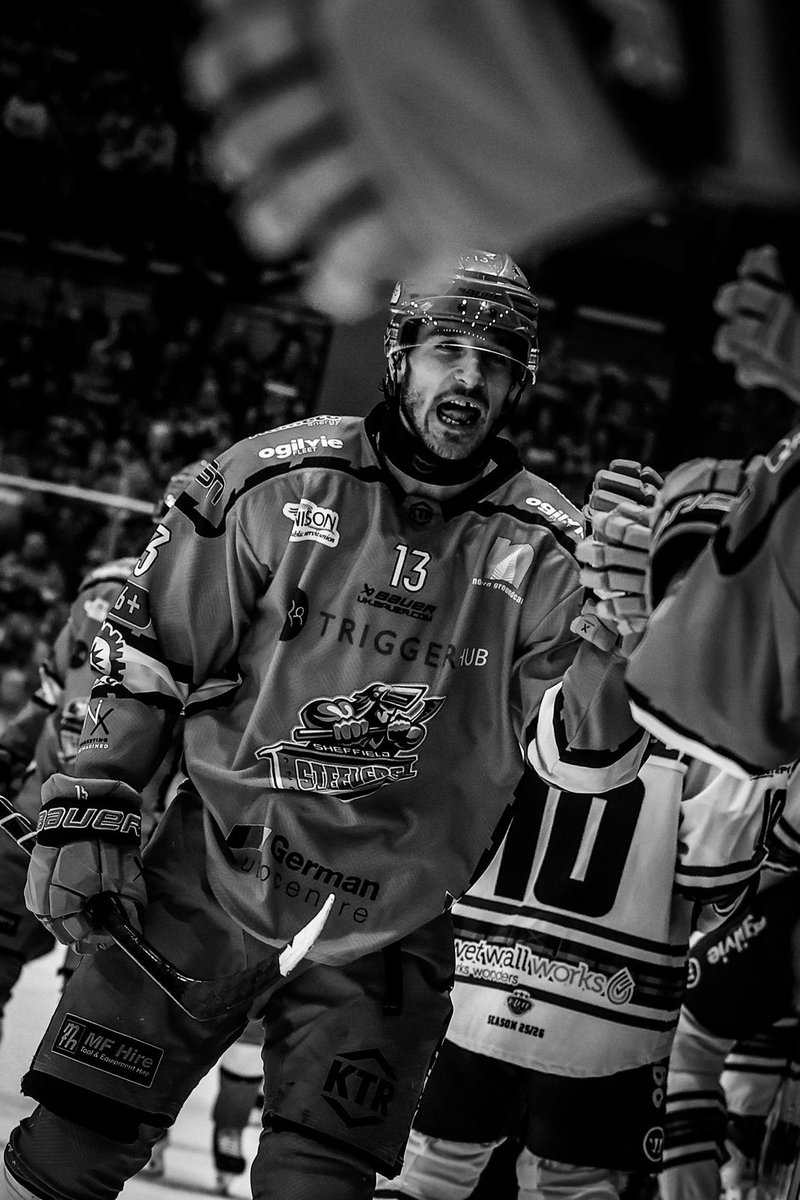 TriggerHub Sheffield Steelers tweet media