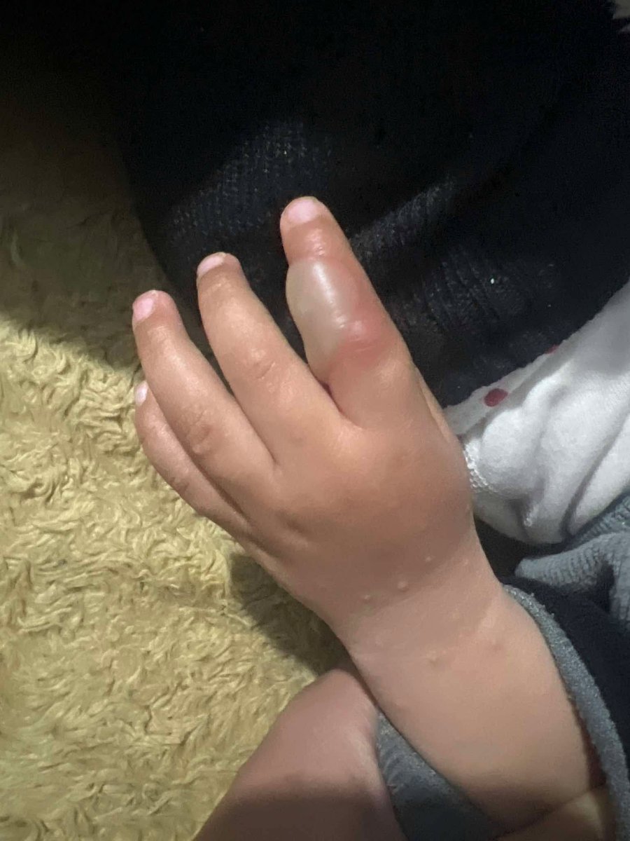 waed 🇵🇸🇱🇧 tweet media