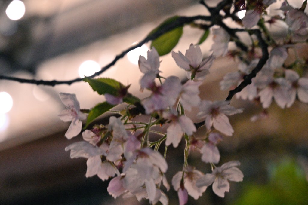 かず＠鈴木 和昭 tweet media