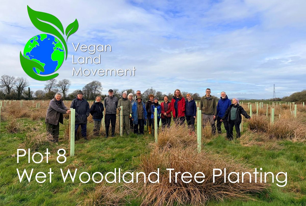 Vegan Land Movement tweet media