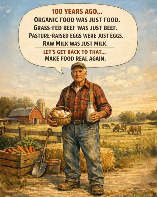 Papa Hemingway (@pophemingway) on Twitter photo 