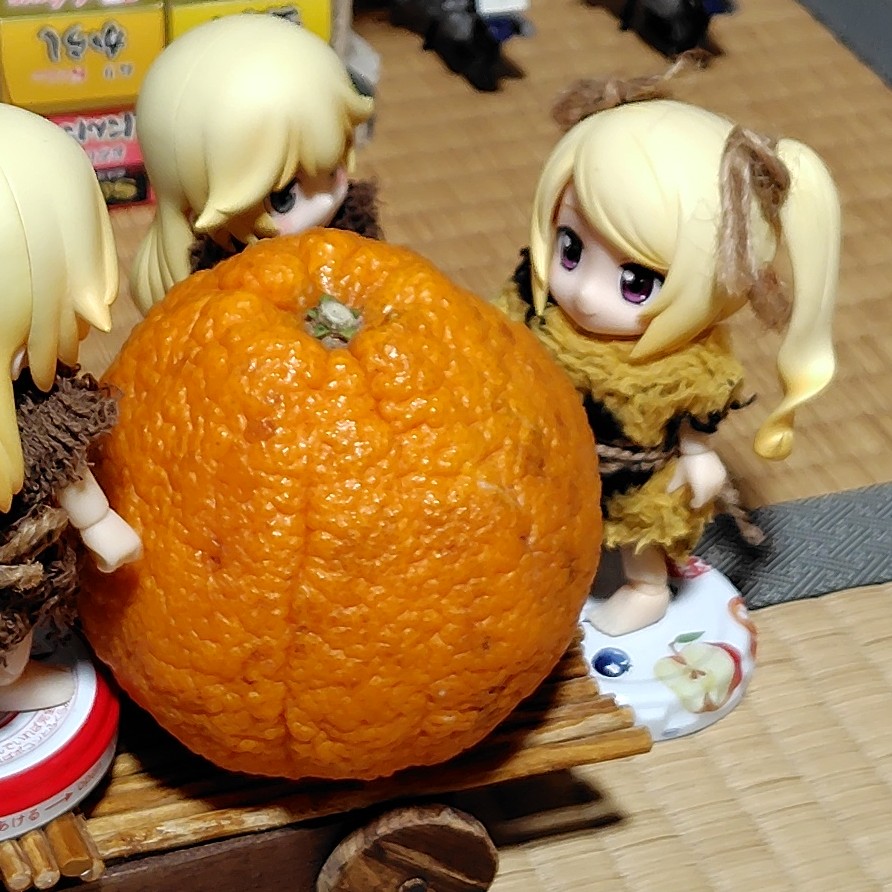 お！何コレ！変なみかんだな！
いいじゃんいいじゃん！
マジカッコいいじゃん！
買わんけど。
(情報屋さん談)
 #キューポッシュ