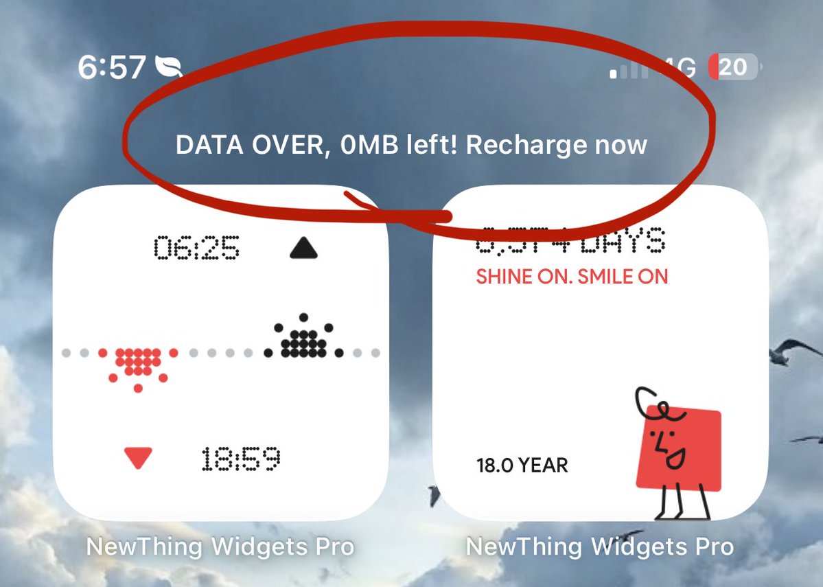 Noah Cat tweet media