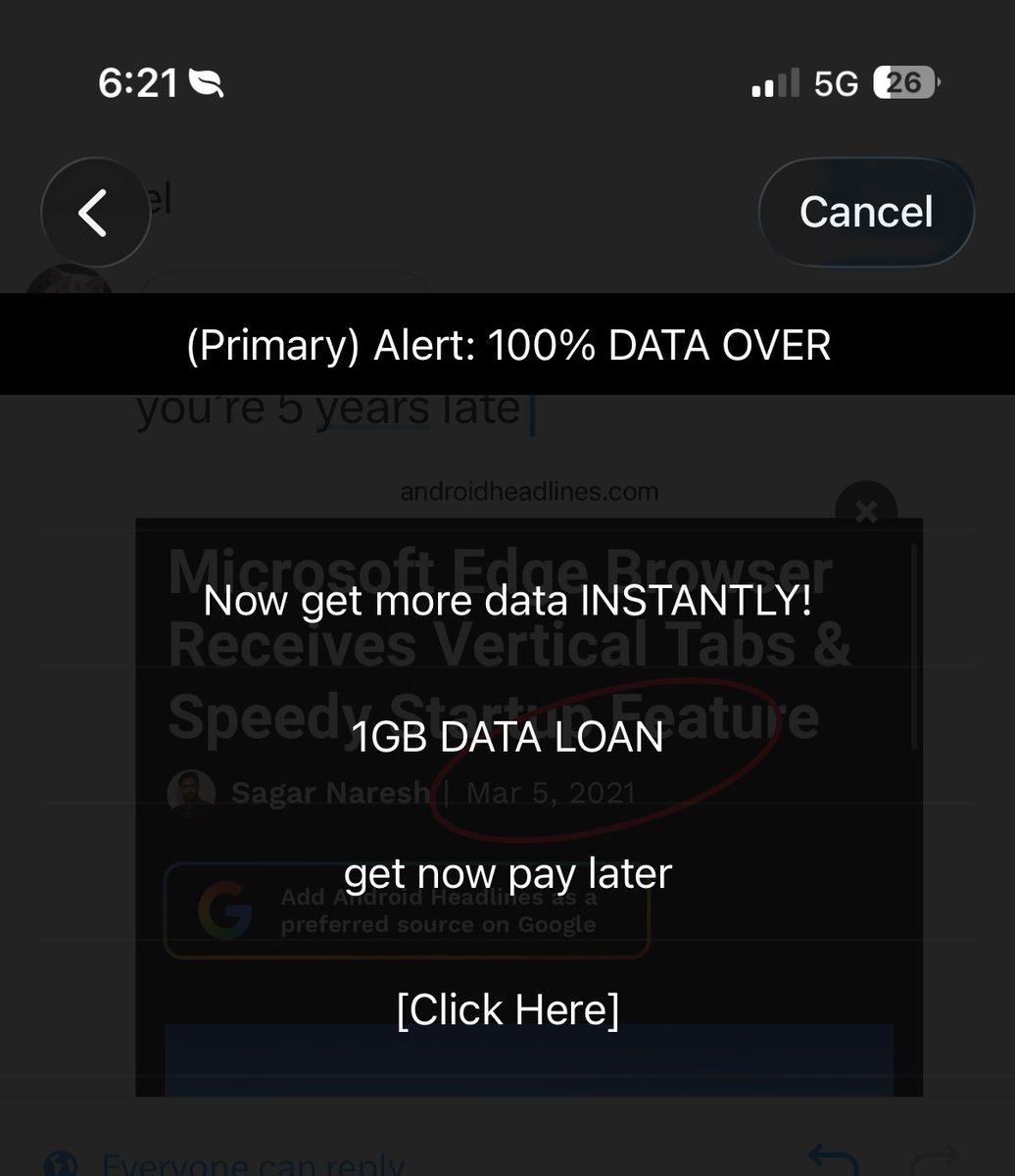 Noah Cat tweet media