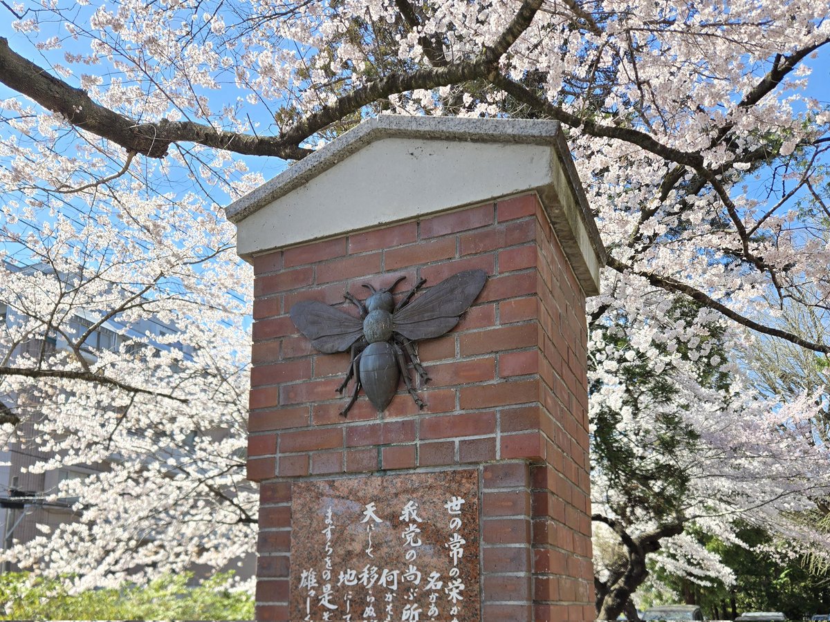 house101064's tweet photo. D2になって仙台での生活が始まりました！引き続き京大昆虫生理に在籍しつつ、東北大生命科学研究科の適応形態分野で研究を進める二足のわらじ院生です。 https://t.co/oUMUyYSeyP