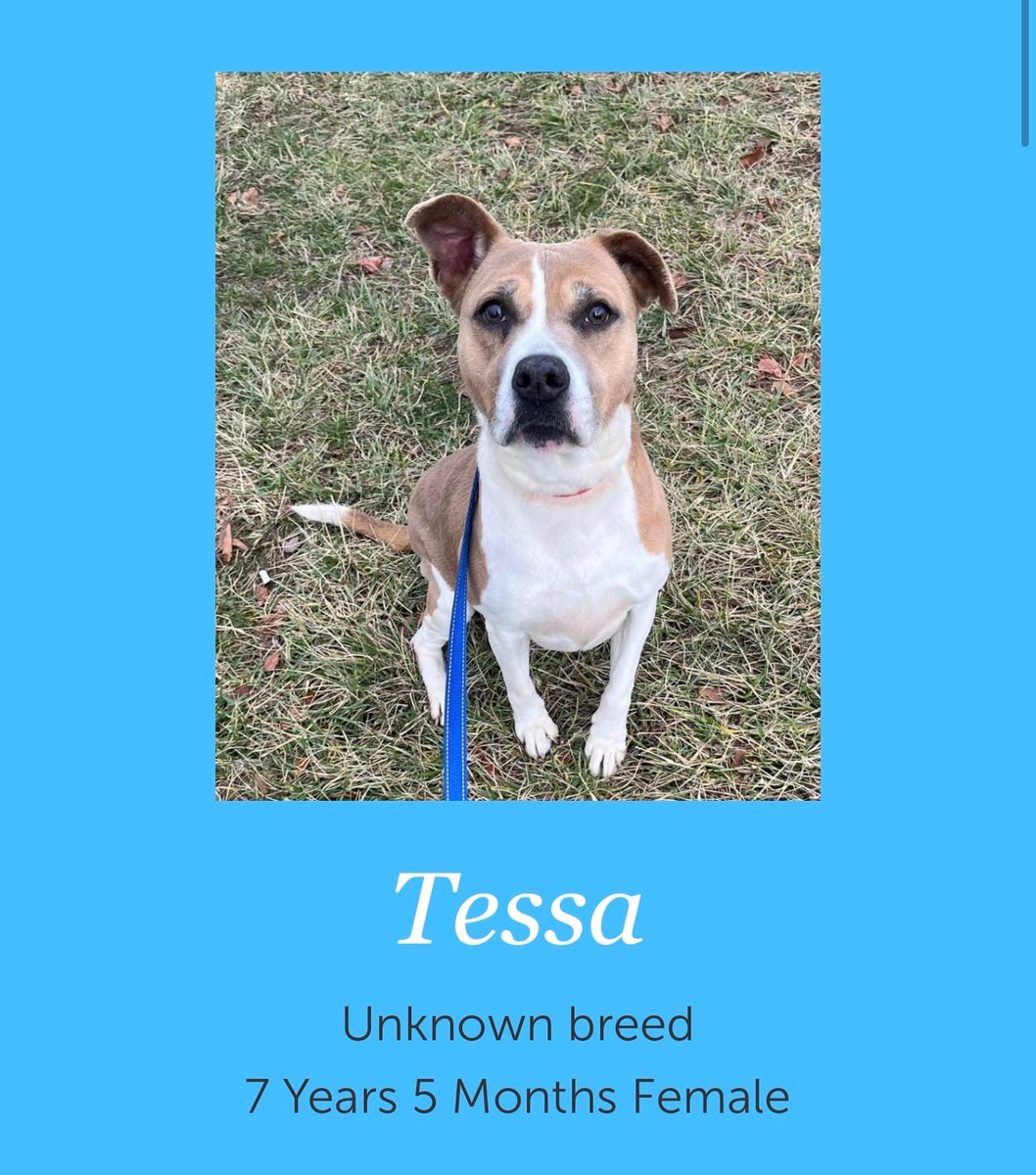 👉M-Û-R-Č-H👈 tweet media