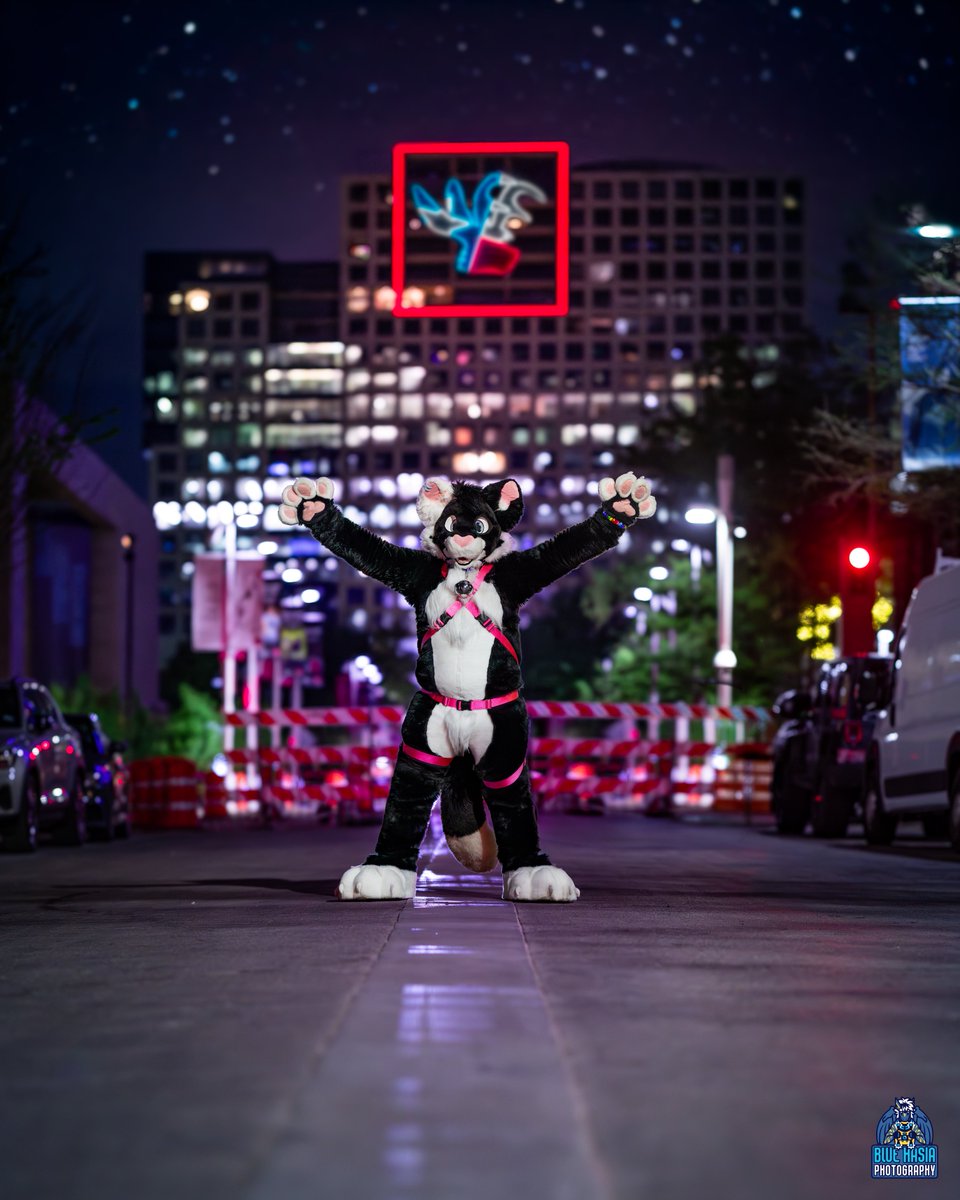 Bluehasia's tweet image. The backlash Dire Walf is getting is one of the reasons I closed my commissions. I received a lot of pushback for charging $60 per photo for work like this.

I travel to conventions with sometimes upwards of $15,000 in camera gear and another $3,000 in lighting and accessories.