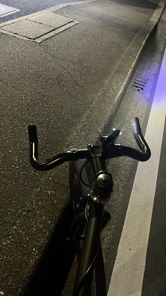 魚占 tweet media