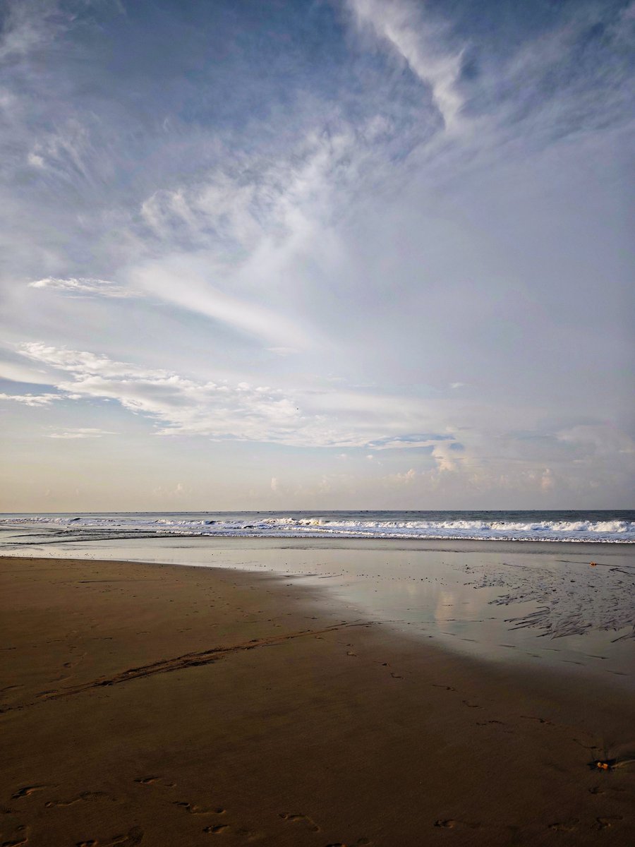 rexve crown tweet media