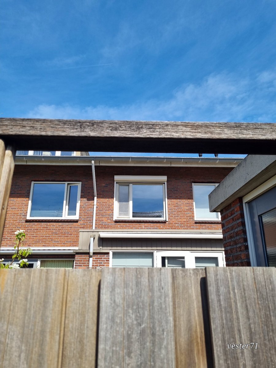 vester71 tweet media