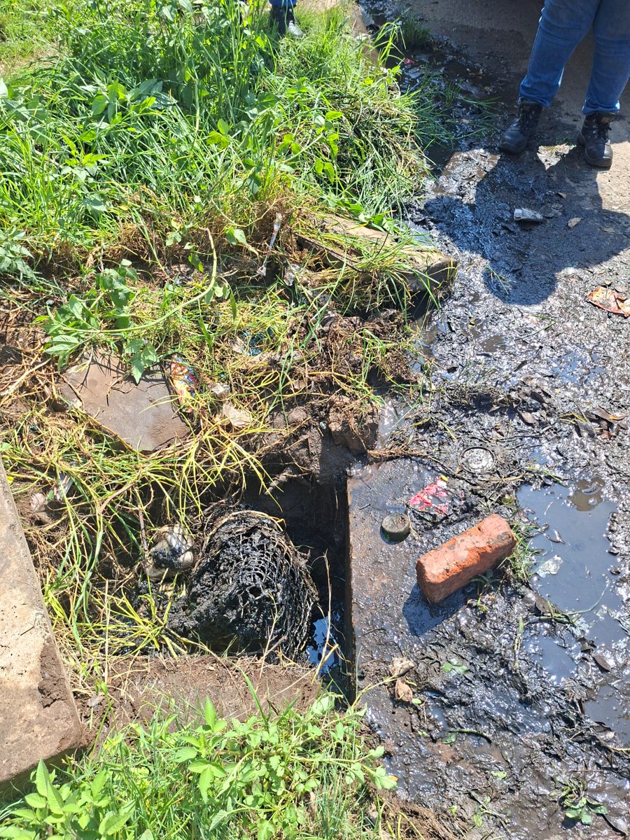 City_Ekurhuleni's tweet image. 🛣️ #FixingTheFrontline | #CoERoadsUpdate
Storm drains cleared of debris across the city in areas such as Selection Park in #Springs, Monareng St, #KwaThema, #Thokoza, #Brakpan, Leachville  Ext 2, #VillaLiza and Primrose. #ServiceDeliveryInAction
