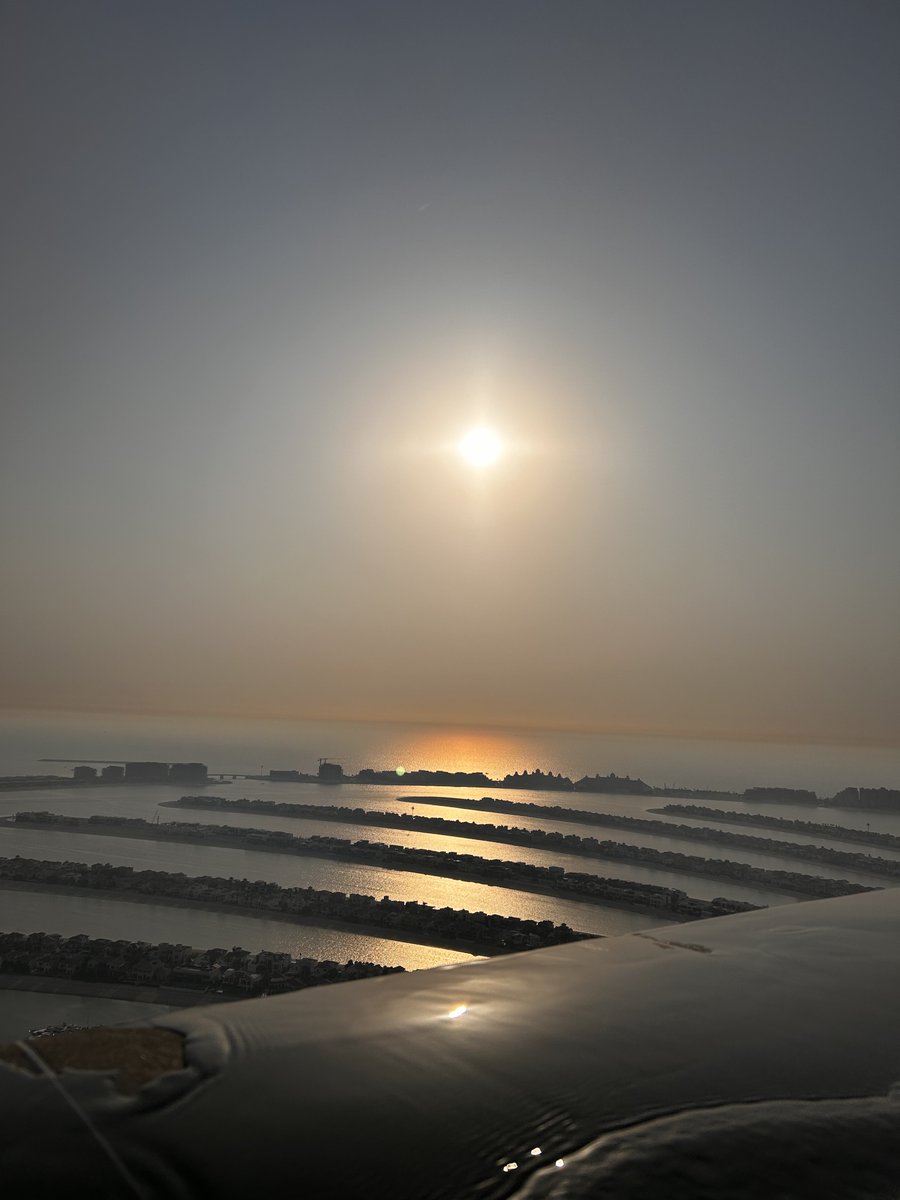 Marko Picks tweet media