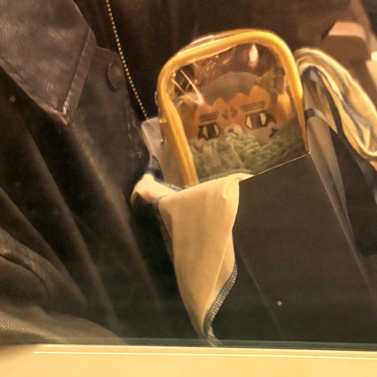 うちのほぜち tweet media