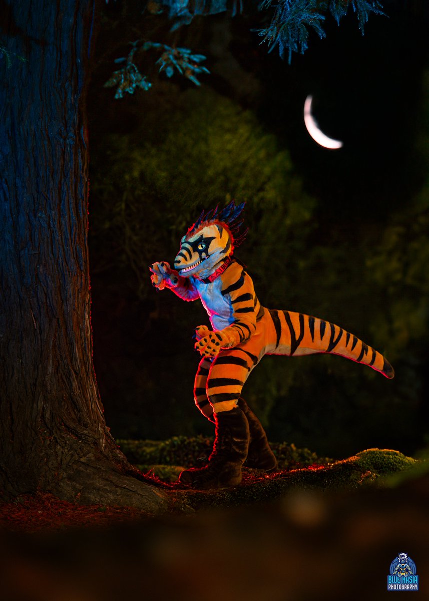 Bluehasia's tweet image. The backlash Dire Walf is getting is one of the reasons I closed my commissions. I received a lot of pushback for charging $60 per photo for work like this.

I travel to conventions with sometimes upwards of $15,000 in camera gear and another $3,000 in lighting and accessories.