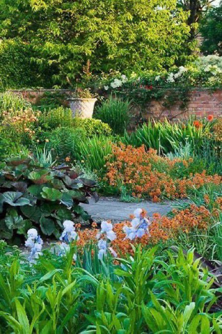 thegardenvsw's tweet image. They range from large and famous gardens to small modest #gardens, so you can take your choice. #gardening    ngs.org.uk        
scotlandsgardens.org