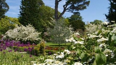 thegardenvsw's tweet image. They range from large and famous gardens to small modest #gardens, so you can take your choice. #gardening    ngs.org.uk        
scotlandsgardens.org