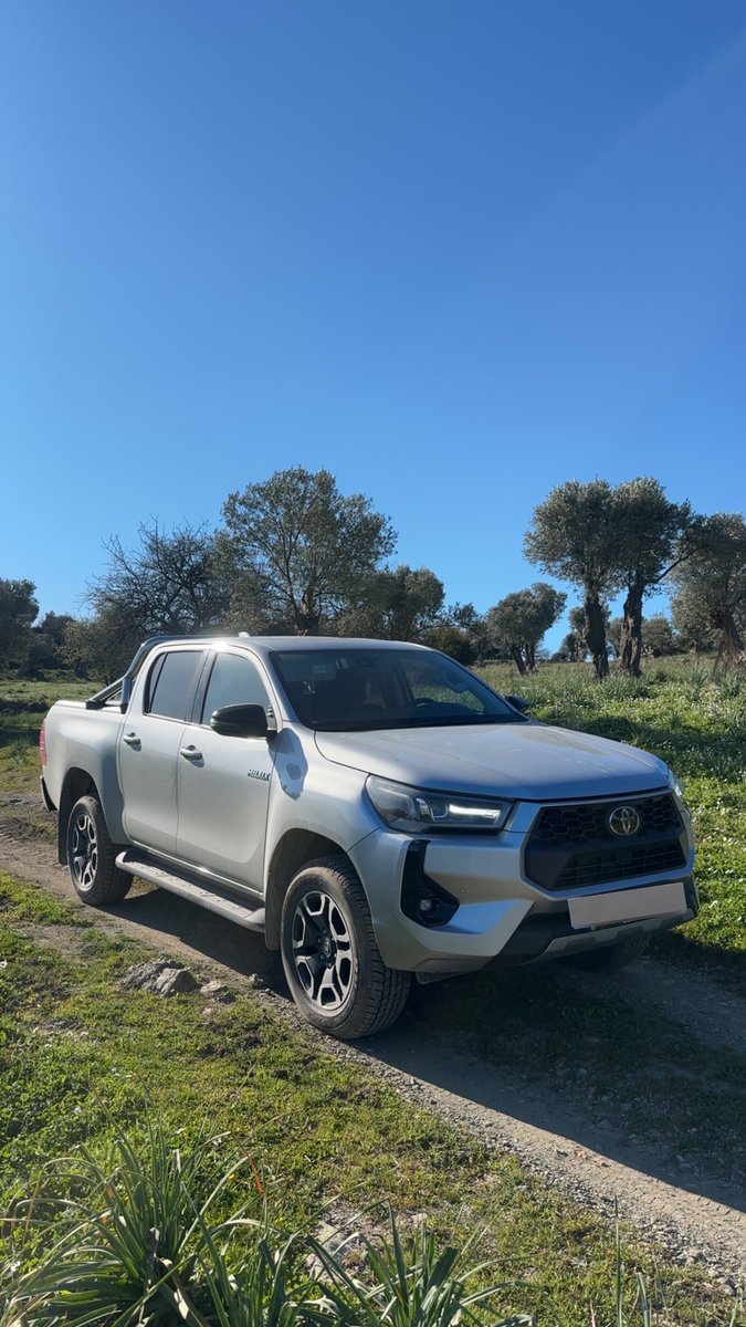 bahtsız bedevi tweet media