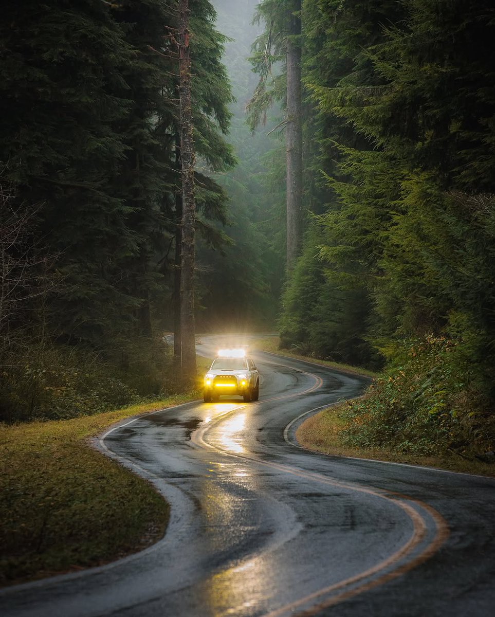 visualsofearth1's tweet photo. Lush rainforests of the Pacific Northwest https://t.co/jUp7QcxnQY