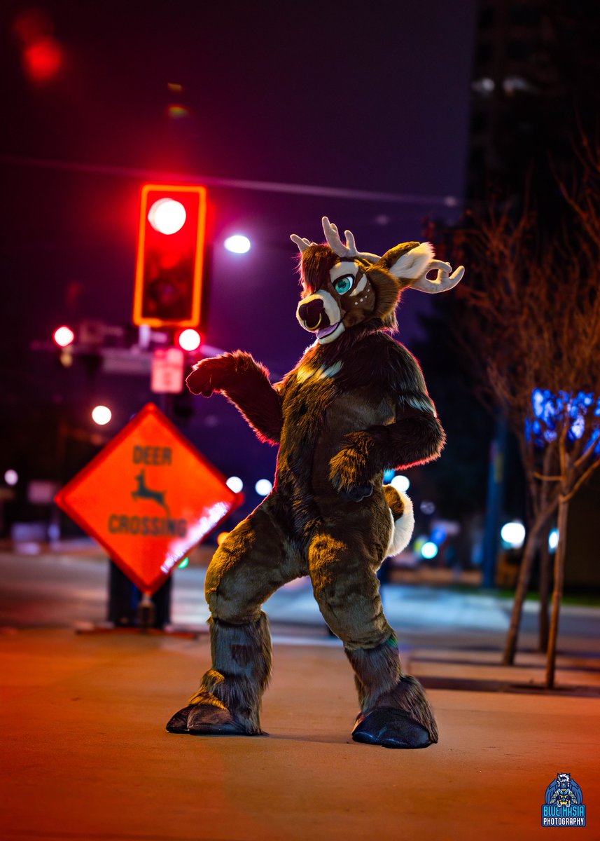 Bluehasia's tweet image. The backlash Dire Walf is getting is one of the reasons I closed my commissions. I received a lot of pushback for charging $60 per photo for work like this.

I travel to conventions with sometimes upwards of $15,000 in camera gear and another $3,000 in lighting and accessories.