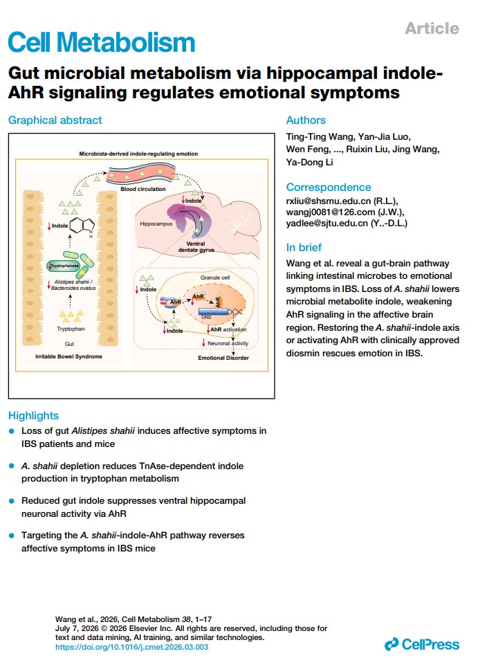 やまだ@研究者 tweet media