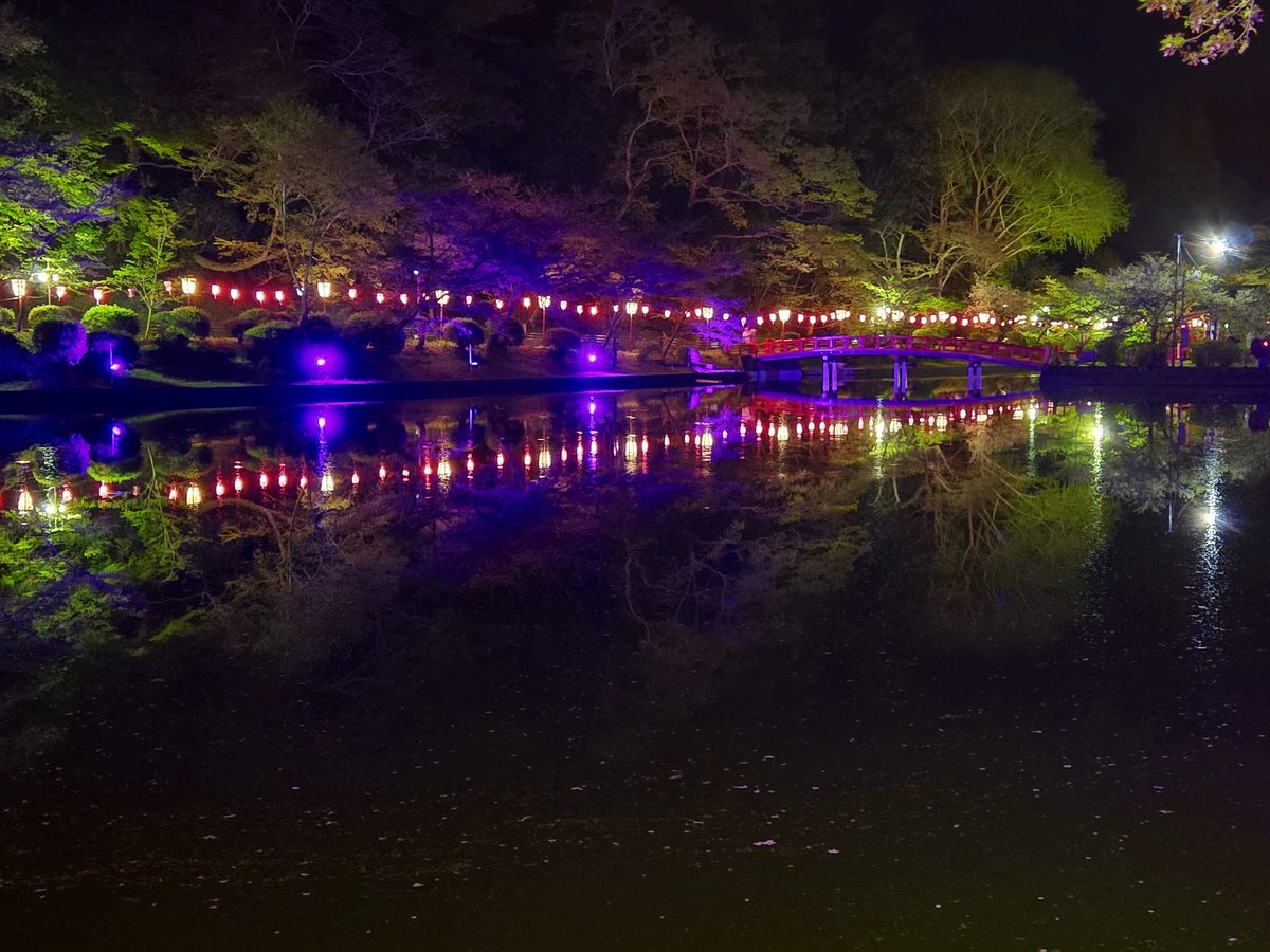 さとやんとプチデート
仕事終わりの夜桜散歩
8割葉っぱだったけど綺麗だったからよし!