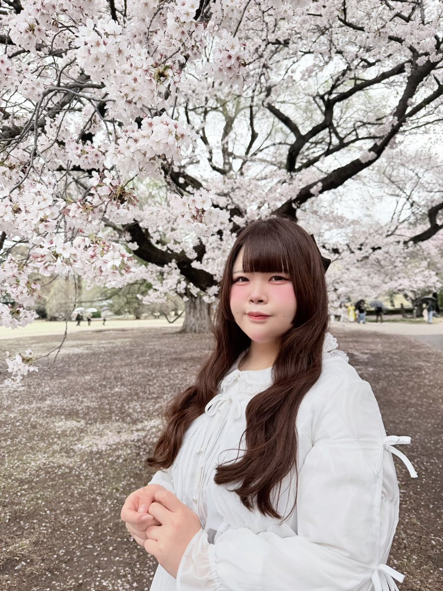 桜衣もえの🌸びっくえんじぇる🎀 tweet media