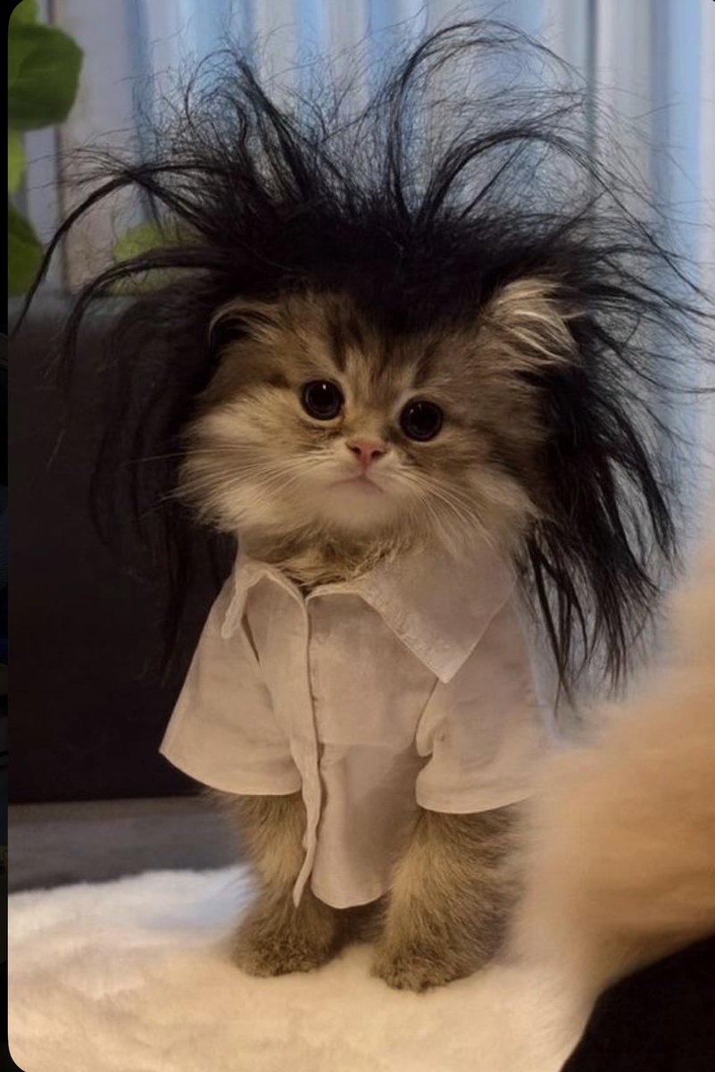 Constantly begging God to grant me a Soft life cause I’ve checked myself very well and realized that I’m allergic to stress and I cry quickly.
God Abeg (Ameen)🥺.