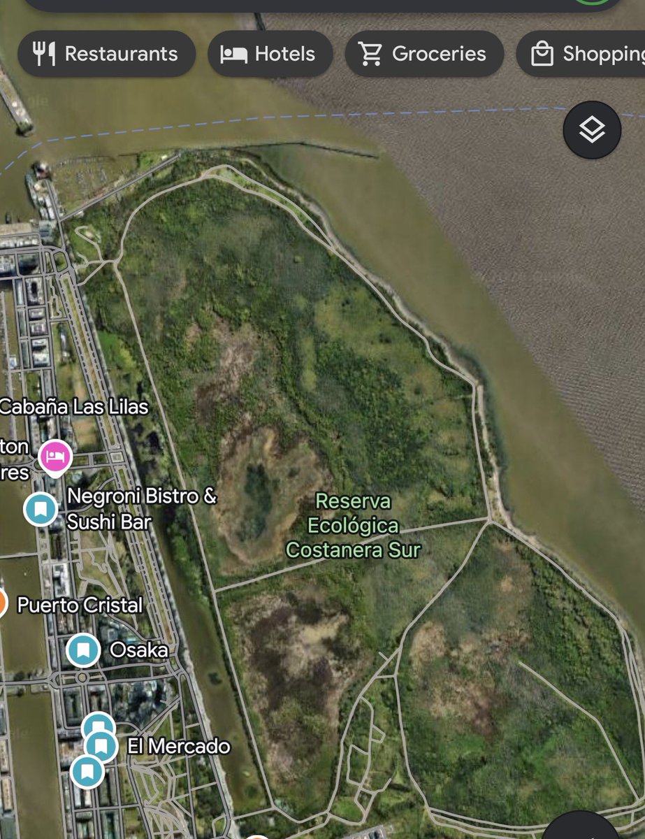 Gian del 56% 🇦🇷🇺🇸🍊 tweet media